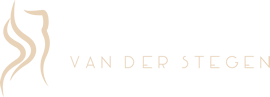 Damien Vanderstegen Logo